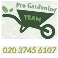 Pro Gardening Team in Belgravia