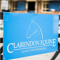 Clarendon Equine Veterinary Clinic in Chelmsford