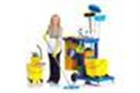 Professional Cleaners Wandsworth in London