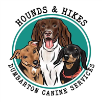 Hounds & Hikes in Dumbarton