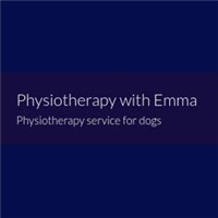 Physiotherapy with Emma in Denbighshire