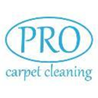 Pro Carpet Cleaning in Godalming