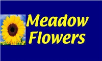 Meadow Flowers in Bathgate