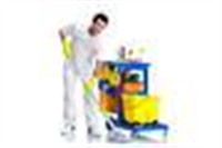 Professional Cleaners Reigate in Reigate