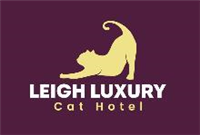 Leigh Luxury Cat Hotel in Manchester