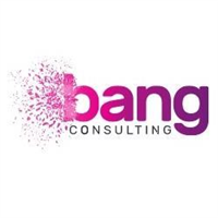 Bang Consulting in Basingstoke