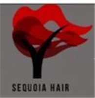 Sequoia Hair in Newbury