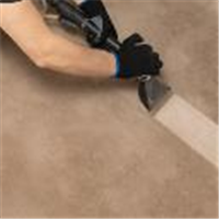 Carpet Cleaning St Albans - Prolux Cleaning in St Albans