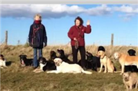 Fran Beckett Dog Trainer & Behaviorist in Morpeth