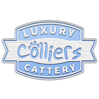 Colliers Cattery in Northiam Road, Staplecross, Robertsbridge, East Sussex