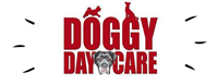 Doggy Day Care - Dog Boarding & Pet Sitting in Poole