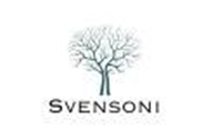 Svensoni Paraplanning Ltd in Swindon