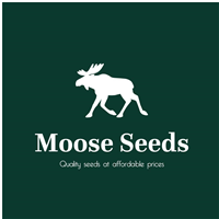 Moose seeds in Truro