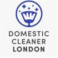 Domestic Cleaner London in Pimlico