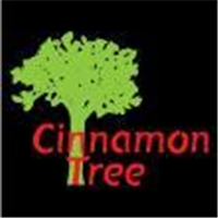 Cinnamon Tree in Poole