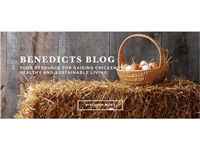 Benedicts Group Limited in Wells