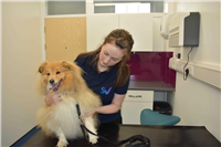 Scotvet Sandyhills Veterinary Clinic in Glasgow