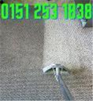 Carpet Cleaning Bold in Bold