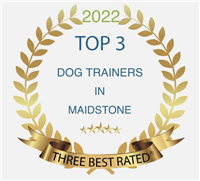 Fawn Dog 1-2-1 Dog Training in Maidstone