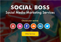 SocialBoss in East Dulwich