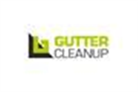 Gutter Cleanup in London