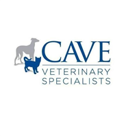 Cave Veterinary Specialists in Wellington
