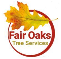 Fair Oaks Tree Services in Tadworth