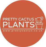 Pretty Cactus Plants in Norwich