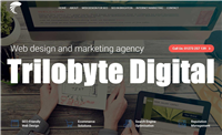 Trilobyte Digital Marketing in Brighton