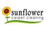 Sunflower Carpet Cleaning in Northampton