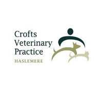 Crofts Veterinary Surgery in Haslemere