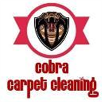 Cobra Cleaning in Reading