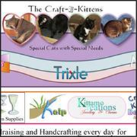 CraftKittens1 & Furwebs in Shrivenham