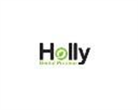 Holly Dental Practice in Preston