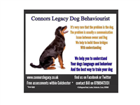 Connors Legacy Dog Behaviourist Training and Understanding in Lexden