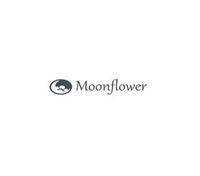 Moonflower Shops in Stroud