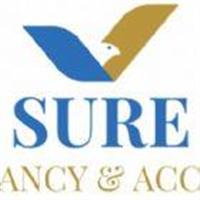 Sure Consultancy & Accounting Services Ltd