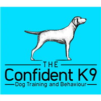 The Confident K9 in Broadwaters