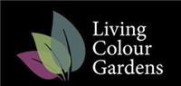 Living Colour Gardens Ltd in Bedford Park