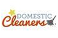 Star Domestic Cleaners in Marylebone