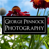 George Pennock Photography in Belfast