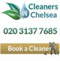 Professional Cleaners Chelsea