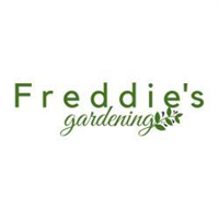 Freddie's Gardening in Clapham