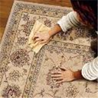 Carpet Cleaning Sutton in Sutton