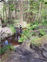 New Forest Mountain Biking in Ringwood