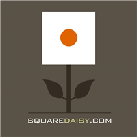 Square Daisy in Redhill
