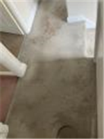 Carpet Cleaning Putney - Prolux Cleaning in London