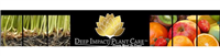 Deep Impact Plant Care in Finsbury