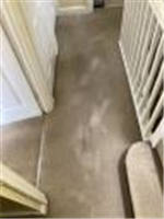Carpet Cleaning Chiswick - Prolux Cleaning