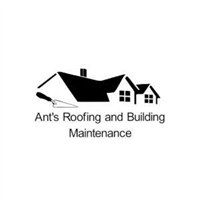 Ants Roofing And Building Maintenance in Reading
